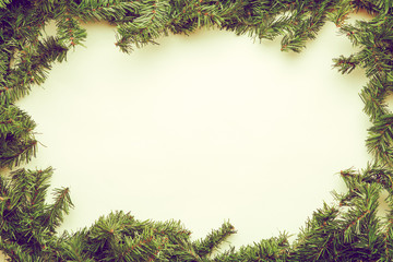 Fototapeta premium Spruce branches on white background