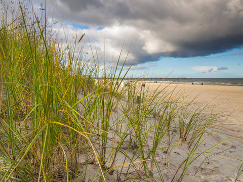 Aufziehender Sturm an der Küste © Animaflora PicsStock