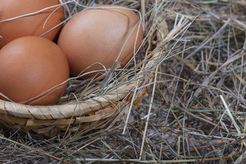 Easter composition. A few eggs in a straw basket closeup