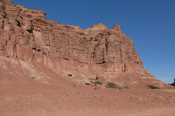 Lion Tombs in Al Ula