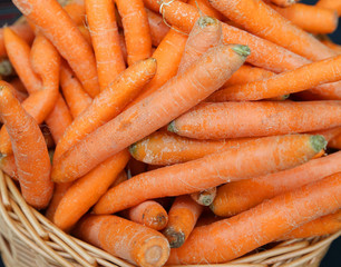 orange organic carrots in wicker basket