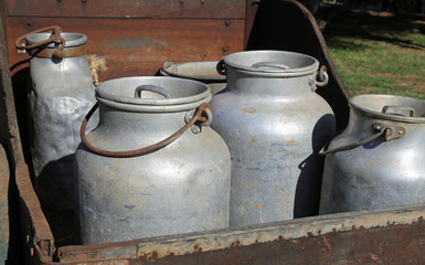 Obraz premium old aluminum milk cans