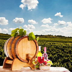 concept of winery
