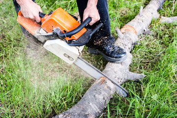 Cutting tree with a chainsaw