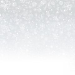 Snowflakes of Winter Christmas in white background, illustration vector