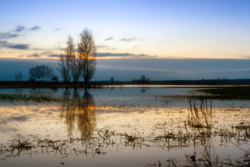 Grudniowe rozlewiska Narwi © podlaski49