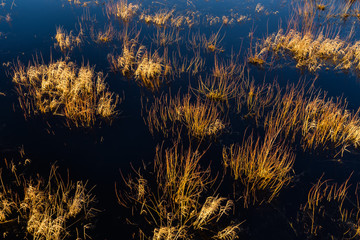 Narew z lotu ptaka © podlaski49