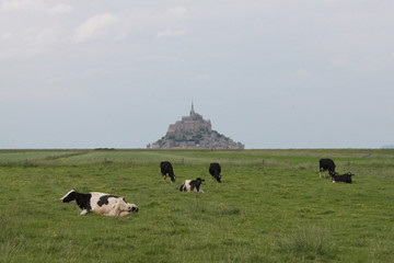 Mont saint michel