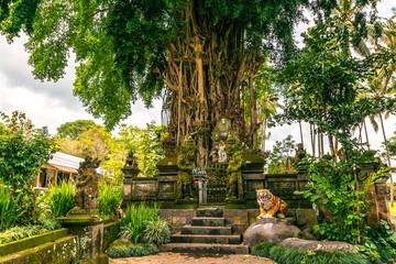 majestic holy tree with little temple and tiger figure in bali. indonesia