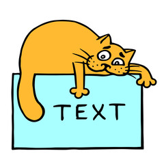 Blue sheet with text and orange cat on top.