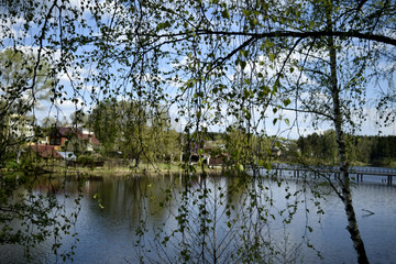 Fototapeta na wymiar The beginning of summer on the river in the village of birch