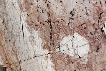 The surface of fine grained Precambrian schist