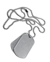 Fototapeta premium Blank Dog Tags