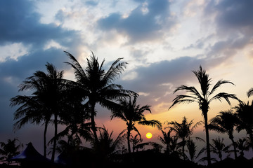 Obraz premium Dramatic atmosphere panorama view of resort and palmtree background on twilight sky.