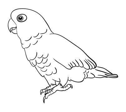 Cockatoo bird line art 01. Good use for symbol, logo, web icon, mascot, sign, coloring, or any design you want.