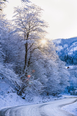 Fototapeta na wymiar beautiful landscape with winter mountain road