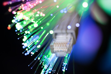 Close up studio shot of LAN and optical fiber cable