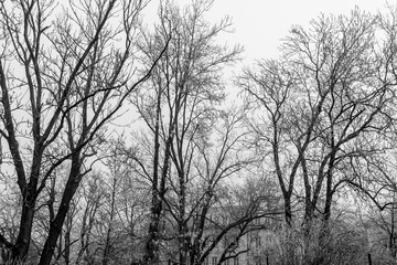 Budapest Citadel - Citadella