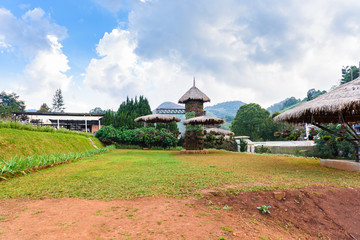 Fototapeta na wymiar Flower Garden in Royal Agricultural Station Angkhang