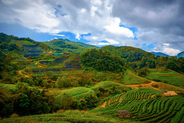 high mountains peaks range clouds in fog scenery landscape national park view outdoor  at Doi Ang Khang, Chiang Mai Province, Thailand