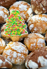 Christmas Cookies and fir tree. Christmas card.