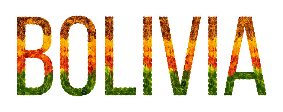 word bolivia country is written with leaves on a white insulated background, a banner for printing, a creative developing country colored leaves bolivia