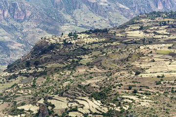 Field terraces in the Ethiopian mountains
