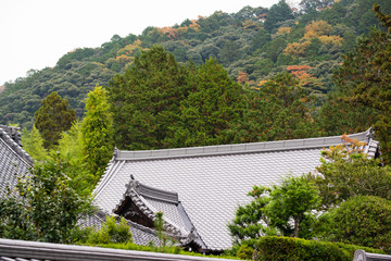 Classic japanese roof pattern in trees garden