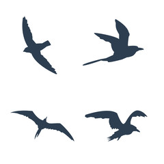 Flying birds icons