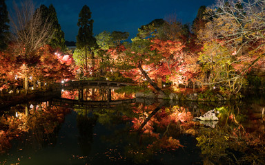 Fototapeta na wymiar japanese classic style concrete bridge and torii gate in autumn red maple leaves garden