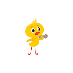 Happy cute baby chicken character doing sport exercises, training with a dumbbell, Easter icon, cartoon vector illustration on white background. Easter baby chicken character training with a dumbell