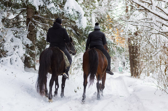 Man and woman rides on horses through snowy landscape