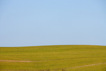 Feld und wolkenloser Himmel