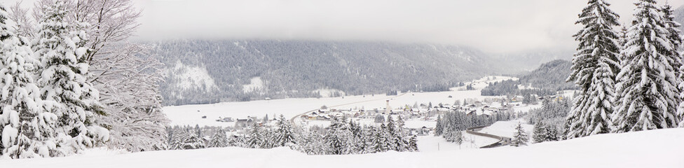verschneite landschaft mit dorf und wald in bergen