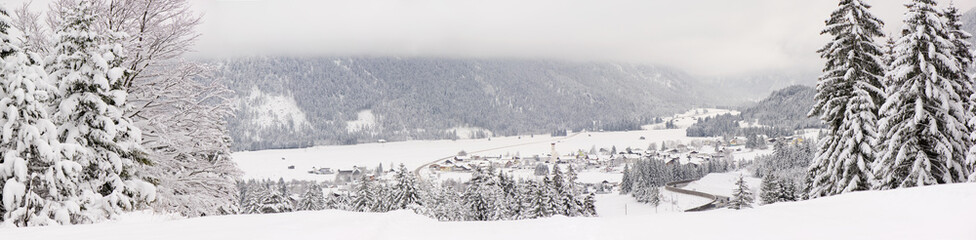 Fototapeta na wymiar verschneite landschaft mit dorf und wald in bergen