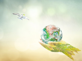 World environment day concept: Double exposure hands of tree and earth global with bird flying on...