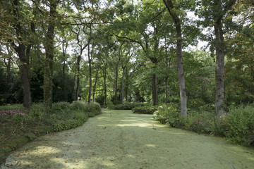 rivière dans le parc Floral de la Court d'Aron