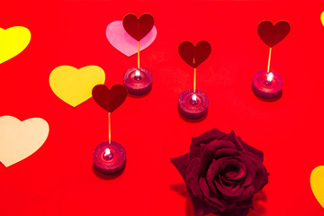 Obraz premium Backgound with hearts of colors and a rose. Letter to Saint Valentine