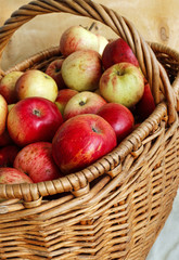 Bright tasty ripe apples in a basket
