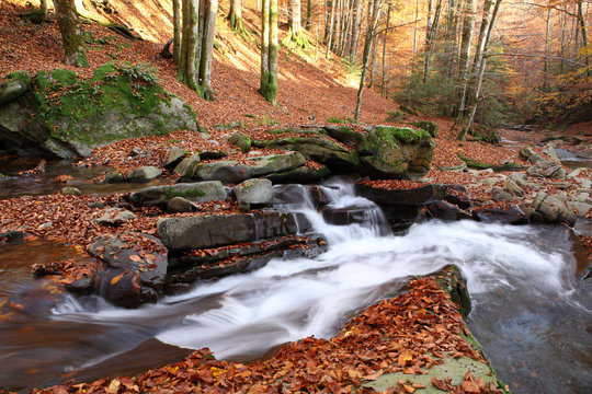 Waterfall in the autumn beech forest