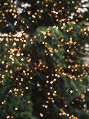 Blurry, golden Christmas fairy lights on outdoor christmas tree at the castle of Nuremberg in the snow during winter creating a beautiful bokeh effekt