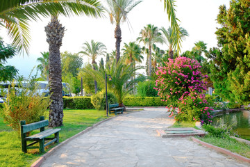 Fototapeta na wymiar View of beautiful park with tropical palms at resort