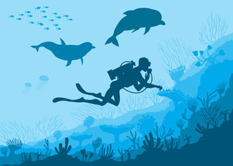 Underwater wildlife, diver, dolphins