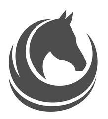 Horse head on a white background