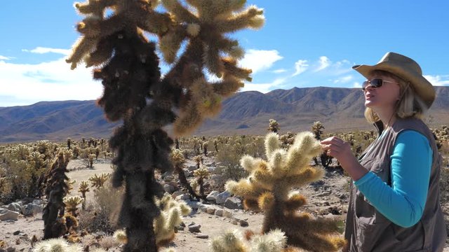 Woman In Hat And Sunglasses Look And Touch The Cholla Cactus