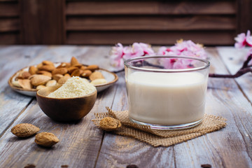 Fototapeta na wymiar Non dairy vegan almond milk in a tall glass