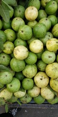 Guava fruits backgrounds