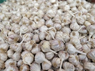 Close-up shot of garlic background