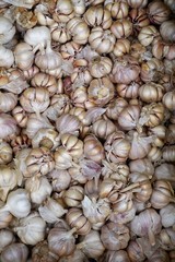 Bunch of garlic in a market in Laos