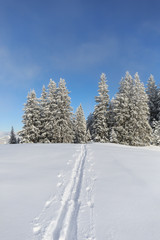 Spur im Schnee in Gebirgslandschaft